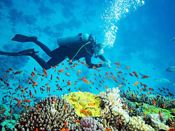 1491555548Hikkaduwa-Discover-Scuba-Diving-for-adults_03
