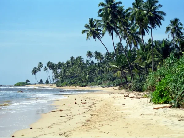 Gintota beach